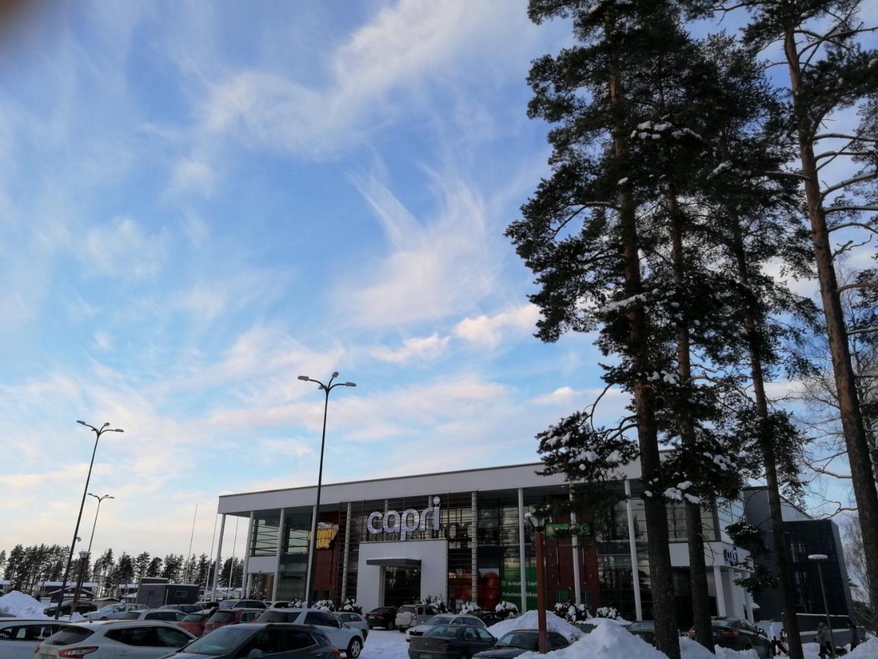 Marina Holiday Honka Village Apartments Иматра Экстерьер фото